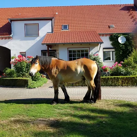 Top-Moderne Ferienwohnung Und Apartments Auf Frueherem Wunderschoenen Bauernhof Im Elbe-Elster-Kreis In Brandenburg Bei Herzberg-Elster, Schoenewalde, Holzdorf Extérieur photo