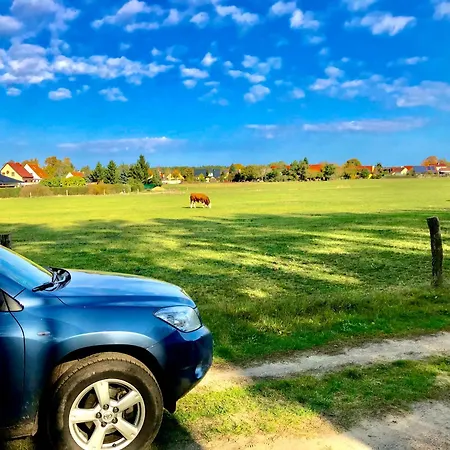 Top-Moderne Ferienwohnung Und Apartments Auf Frueherem Wunderschoenen Bauernhof Im Elbe-Elster-Kreis In Brandenburg Bei Herzberg-Elster, Schoenewalde, Holzdorf Extérieur photo