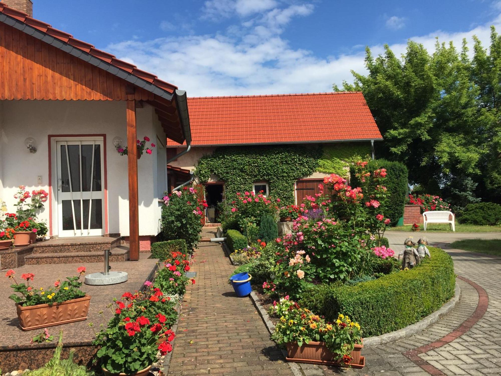Appartamento Top-moderne Und Auf Frueherem Wunderschoenen Bauernhof Im Elbe-elster-kreis In Brandenburg Bei Herzberg-elster, Schoenewalde, Holzdorf