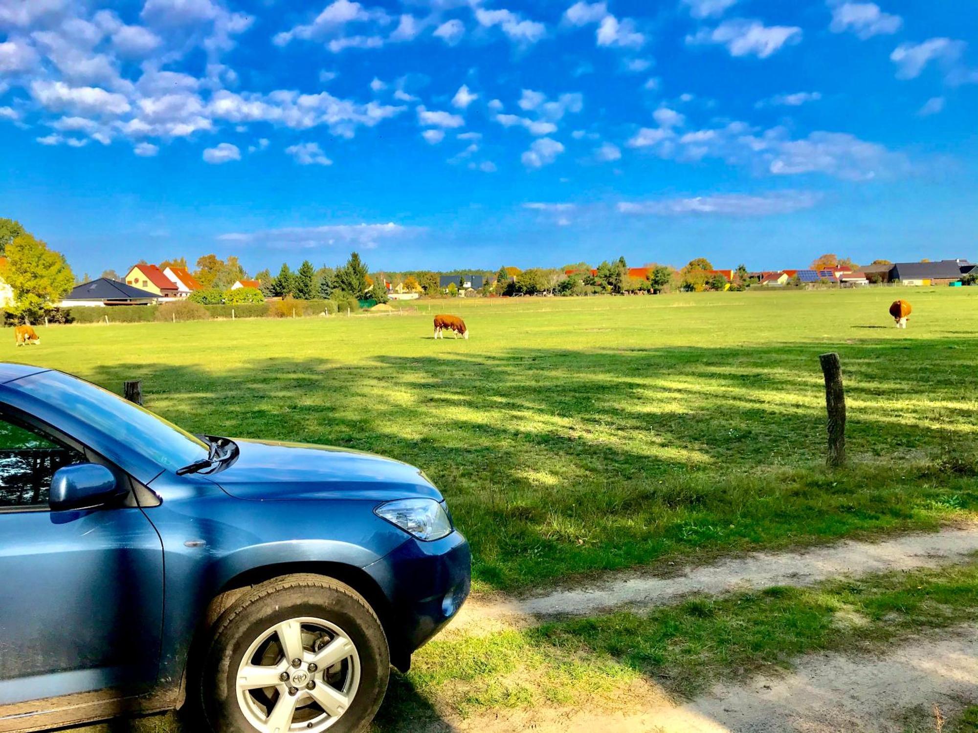Appartement Top-moderne Und Auf Frueherem Wunderschoenen Bauernhof Im Elbe-elster-kreis In Brandenburg Bei Herzberg-elster, Schoenewalde, Holzdorf *