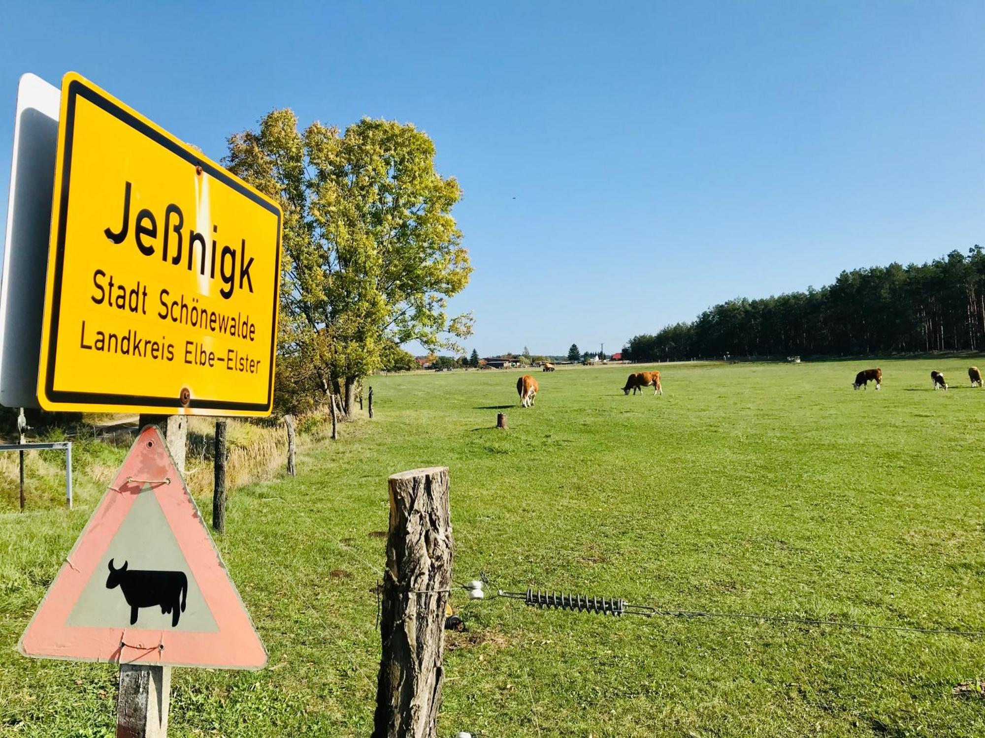 Top-moderne Und Auf Frueherem Wunderschoenen Bauernhof Im Elbe-elster-kreis In Brandenburg Bei Herzberg-elster, Schoenewalde, Holzdorf Schönewalde