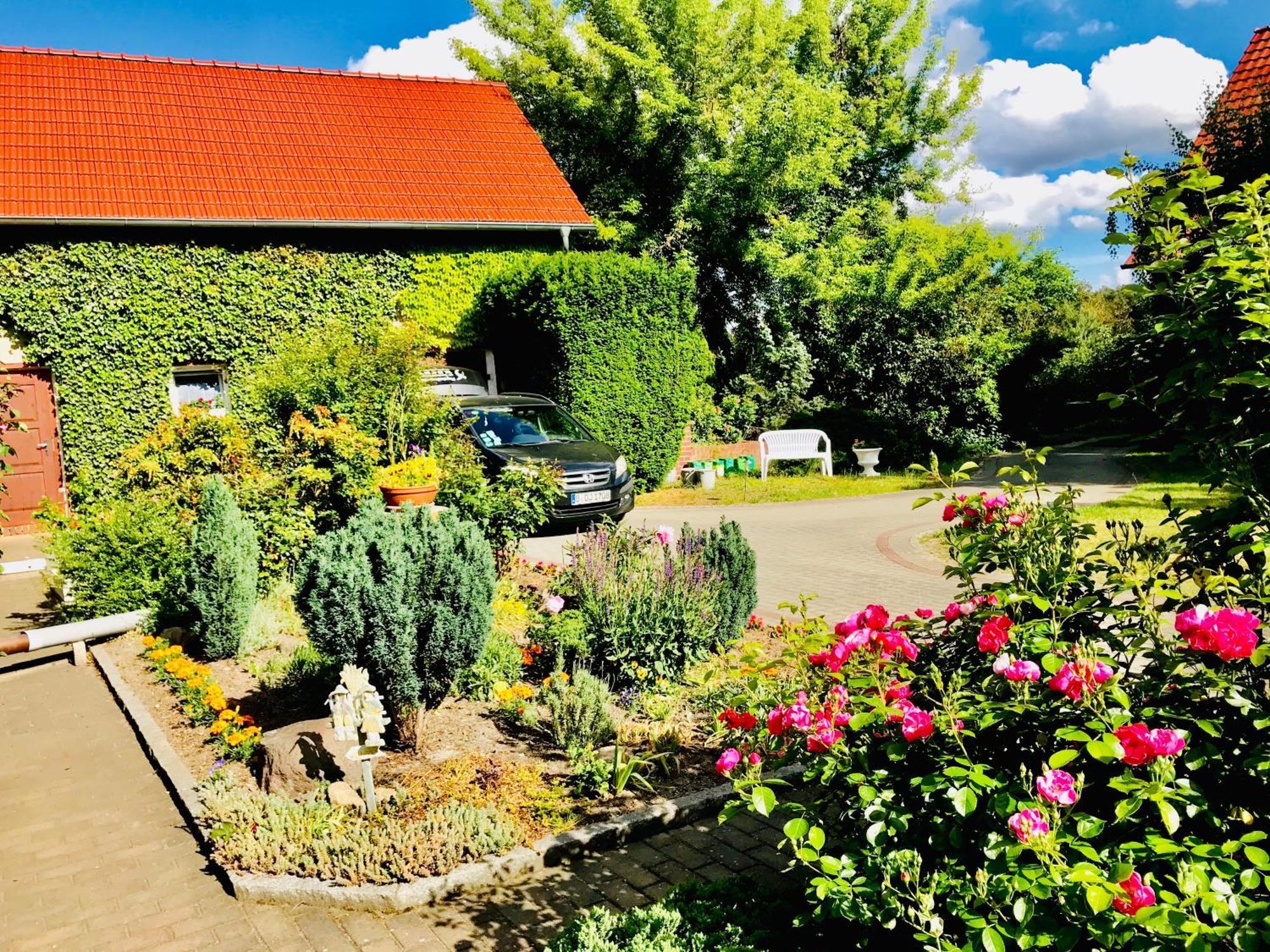 Top-moderne Und Auf Frueherem Wunderschoenen Bauernhof Im Elbe-elster-kreis In Brandenburg Bei Herzberg-elster, Schoenewalde, Holzdorf Appartement