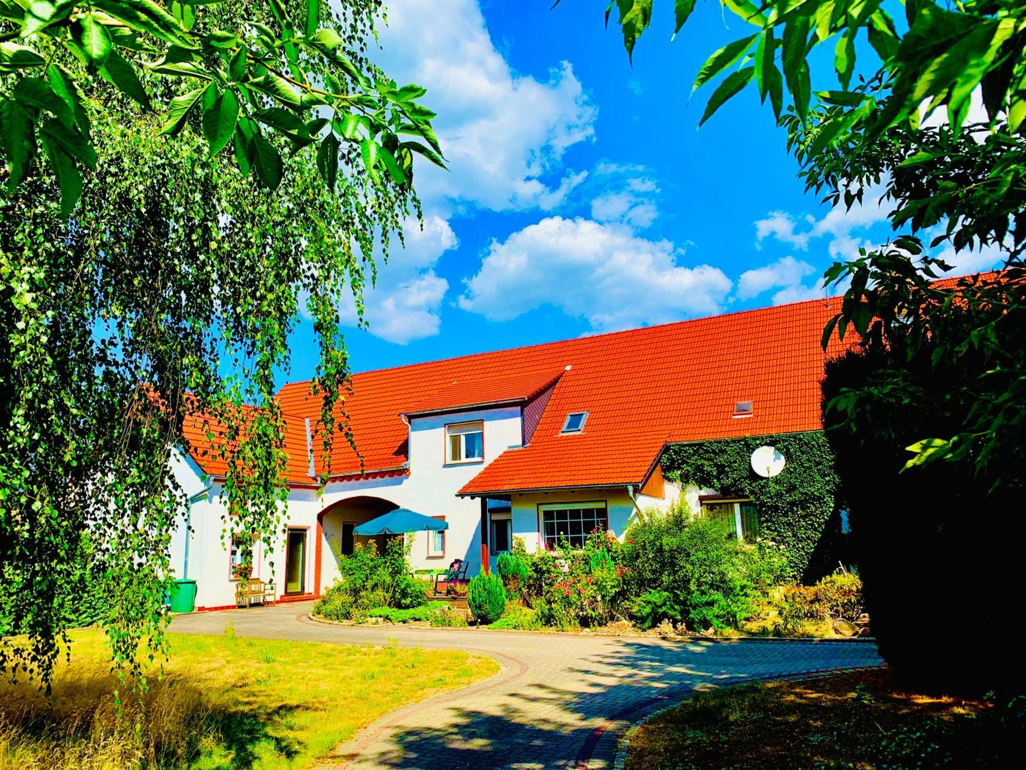 Top-moderne Und Auf Frueherem Wunderschoenen Bauernhof Im Elbe-elster-kreis In Brandenburg Bei Herzberg-elster, Schoenewalde, Holzdorf * Schönewalde